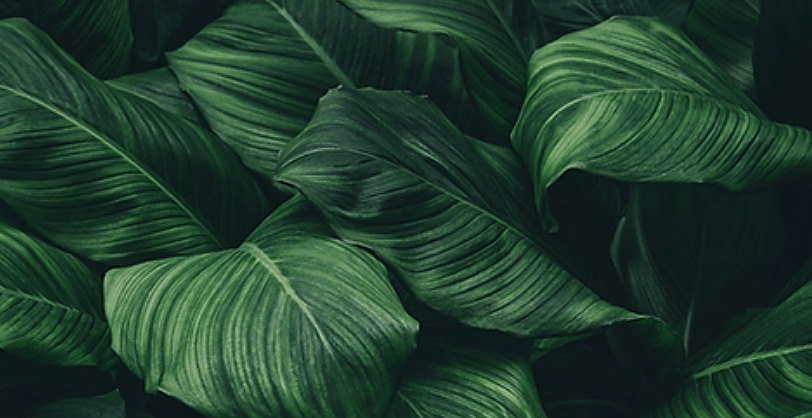 I Can't Wait To Travel|Home