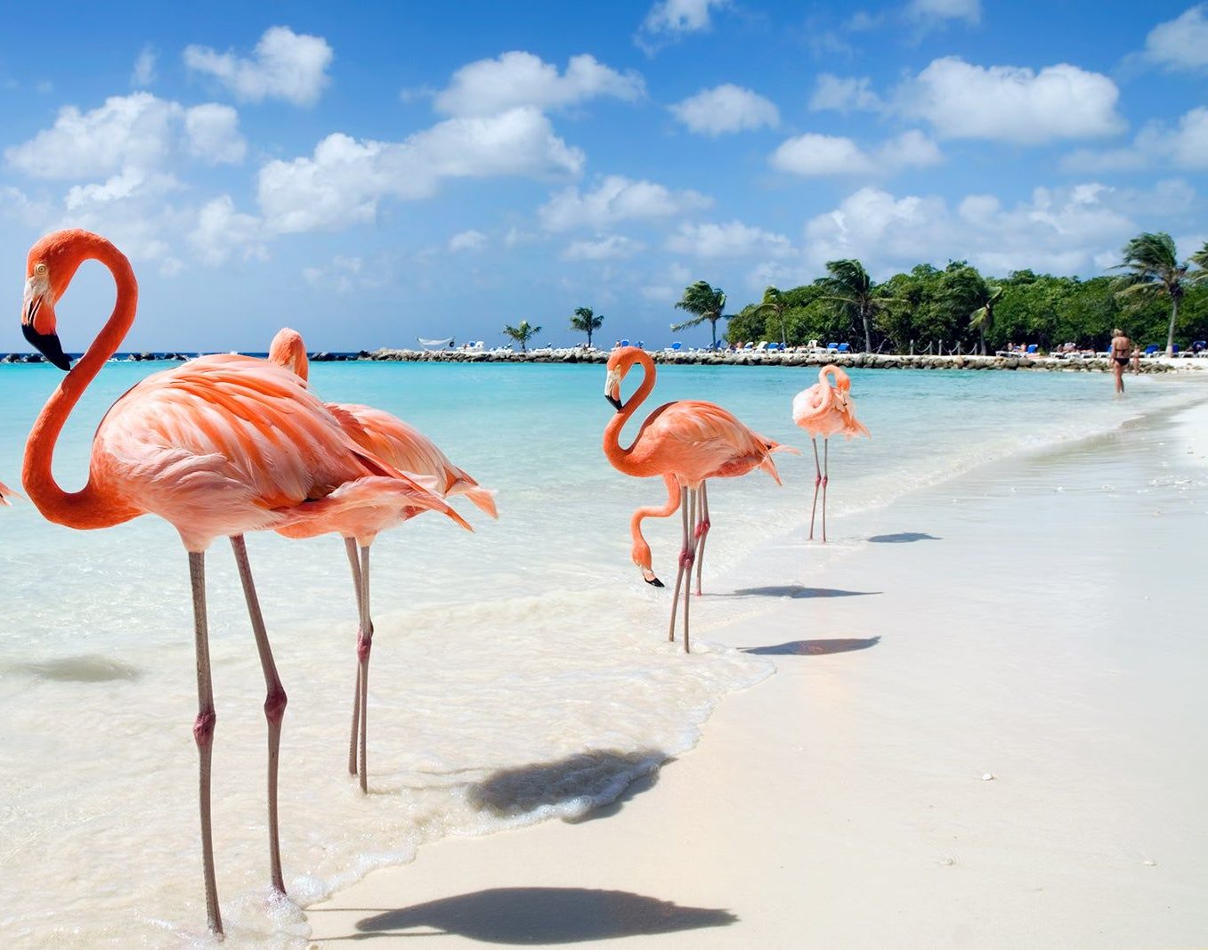 I Can't Wait To Travel|12/2026 8 Nights Southern Caribbean – Cruise Exclusive Deal